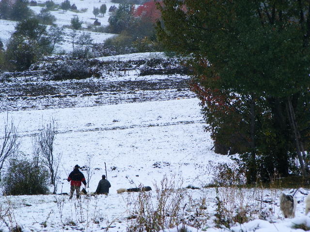 DSCF7326 - ninge in Maramu