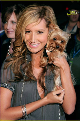ashley-tisdale-high-school-musical-2-dvd-release-531 - Vedete cu animale-Ash si cainii