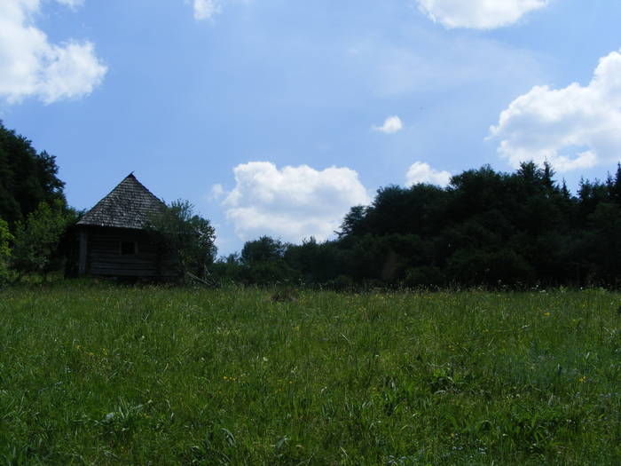 DSCF1071