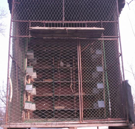 IMG_0019; vedere din fata
