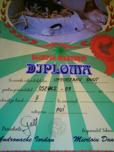 DSC00028 - cupe si diplome