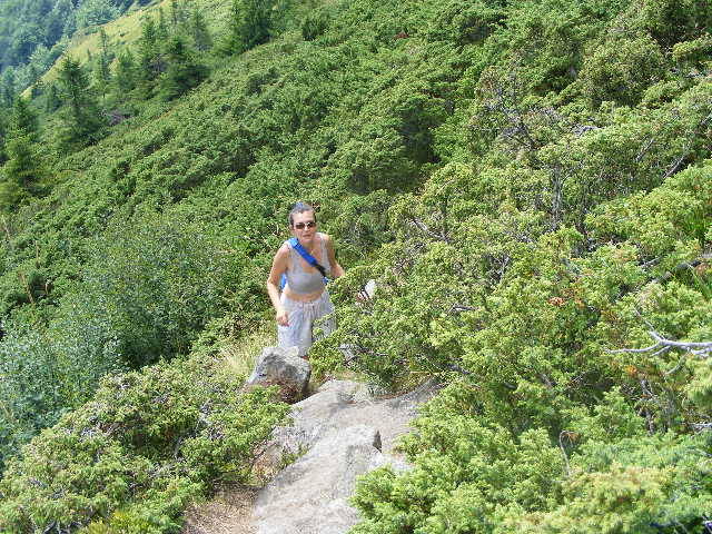 DSCF4258 - 2 august 2009 Traseu Suior Secatura Creasta Cocosului Gutaiul Doamnei  Vf Gutai