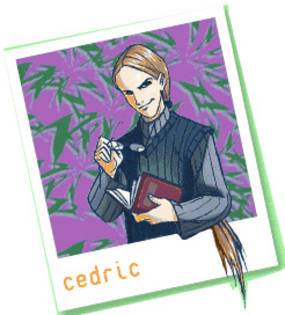 cedricva9[1] - witch sooper tari