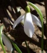 IUPGGJ5DSFM3VXRU79YC3ZYC6