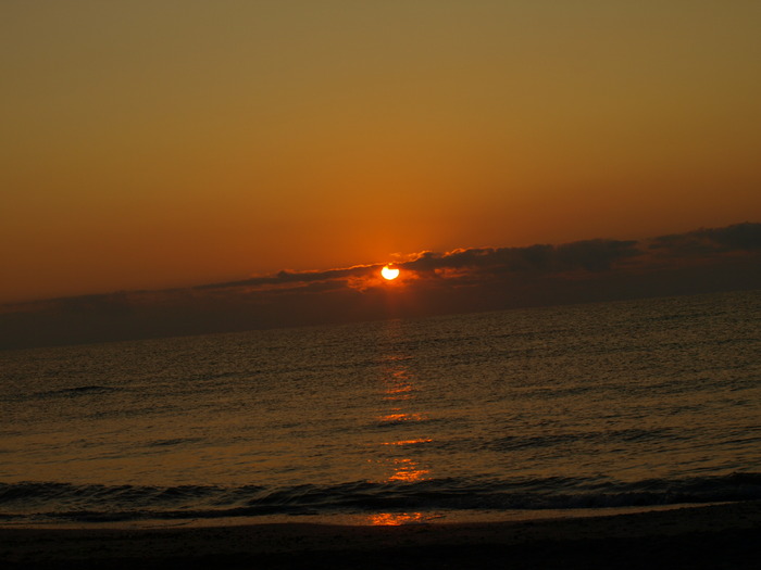 P8306642 - la mare 2009