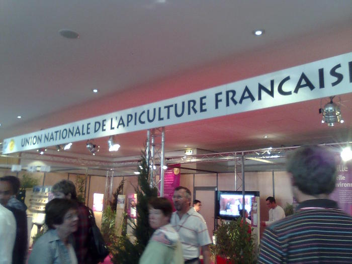 Imagine1130 - ApiMondia