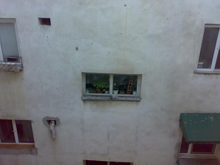 24062008565 - 18a Constanta 1