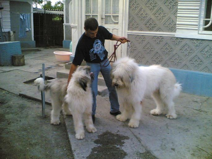 16072005(025); ELI SI BANDIT
