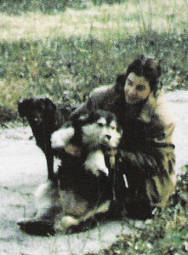 lassie1