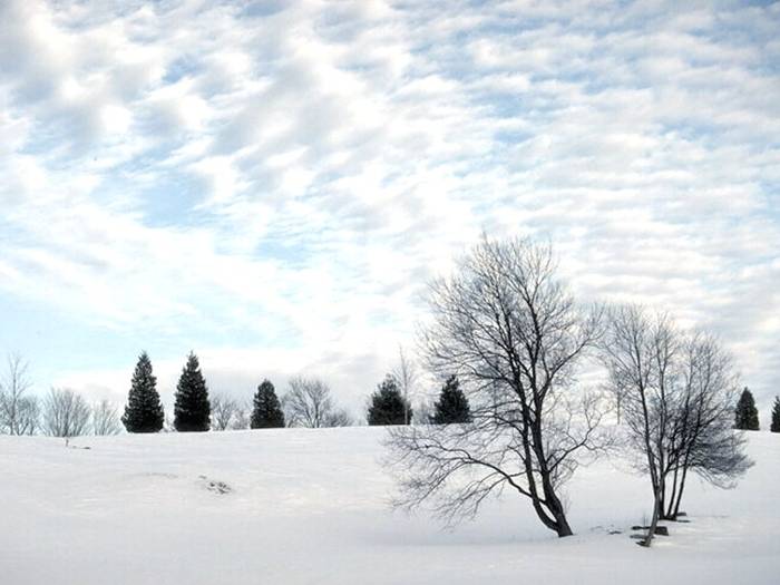 Winter - Peisaje superbe