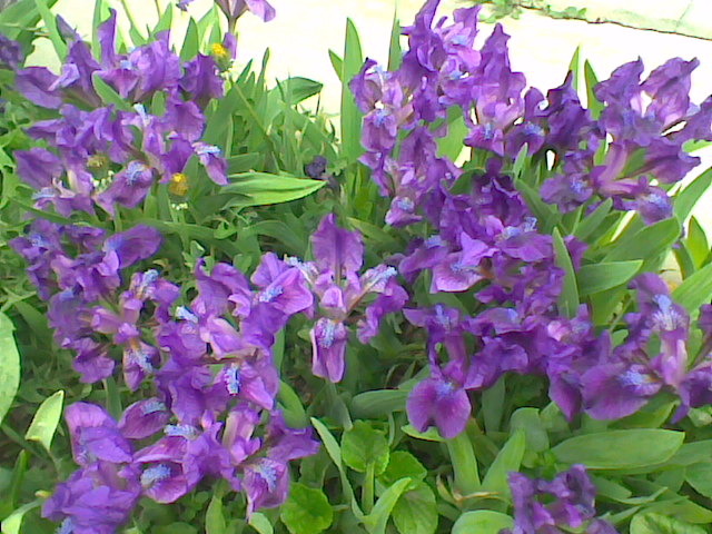 Imag019