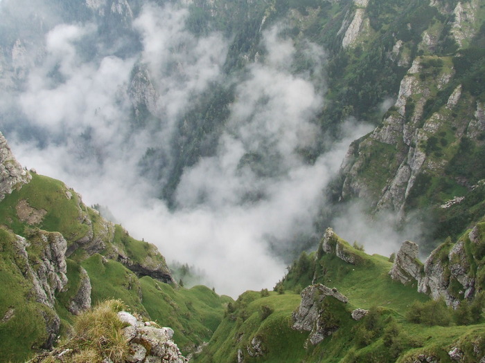 2009_08190565; Romania
