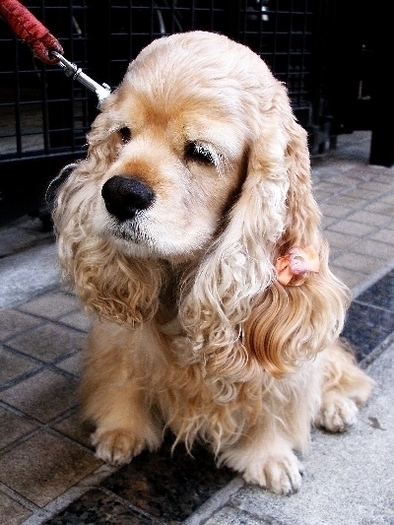 d57ed24893a5b85f03973c54ff0c3057 - CATELUSI