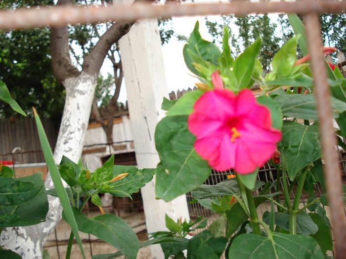 DSC09649