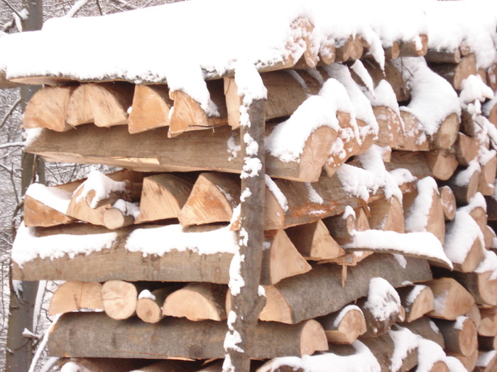 Suior, lemne de foc - Suior- Mogosa -Maramures