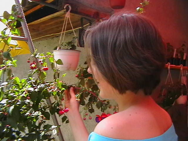 Picture 018