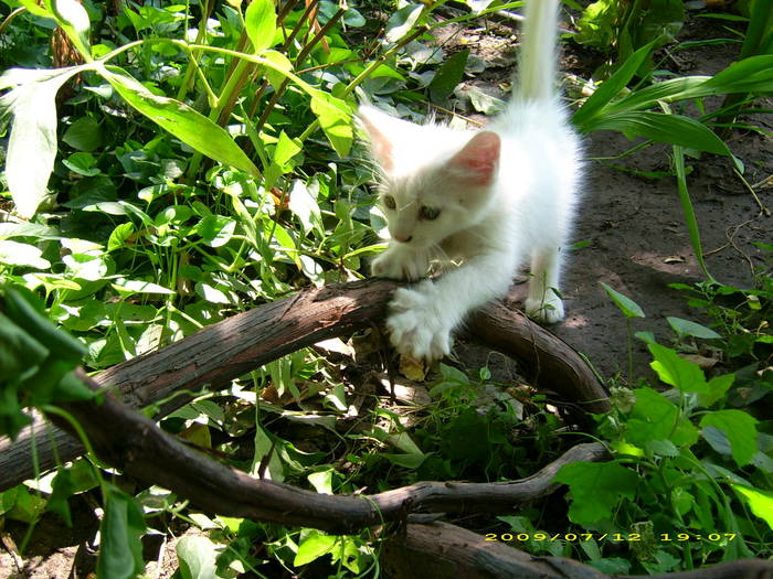 Picture 233 - Monica ritzi si urmasii