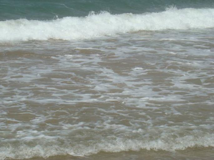 DSC05320