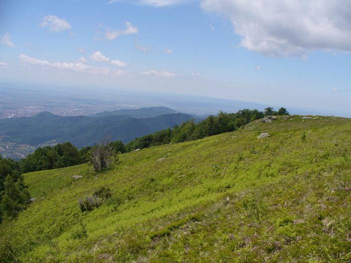 P1000474 - varful Ignis Maramures