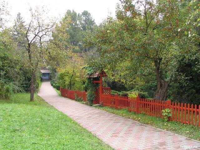 gradina-botanica-cluj-2