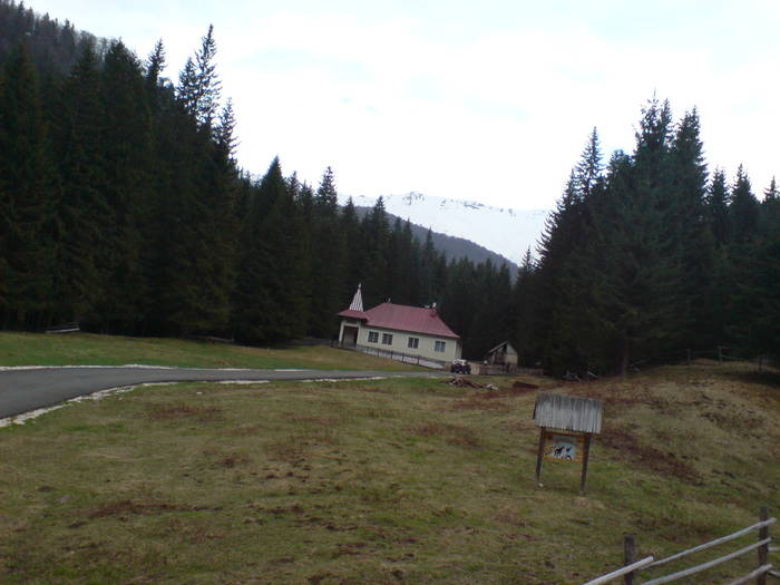 DSC01195
