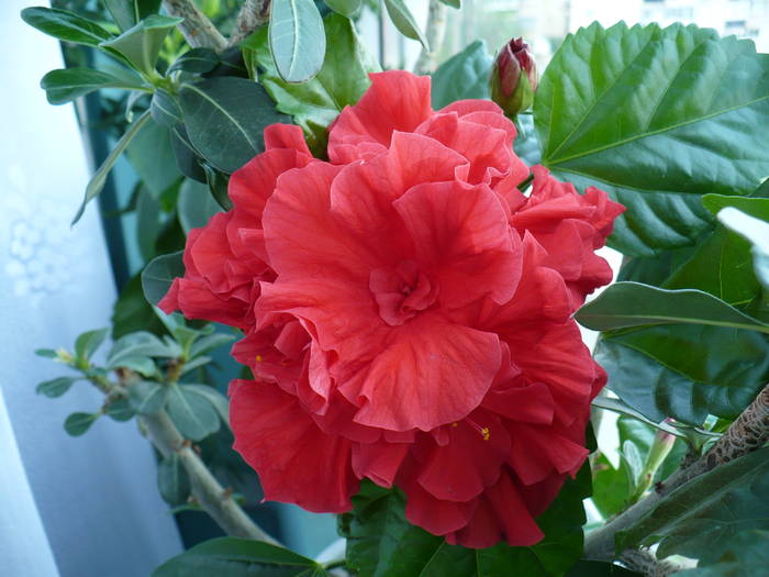 P1140354