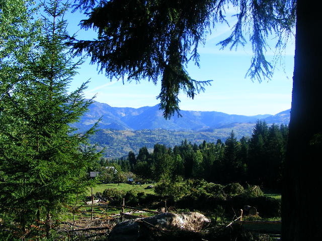 DSCF6428 - muntii Rodnei