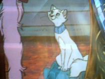 JDKYREEHSGOHEUFYUUP - aristocats