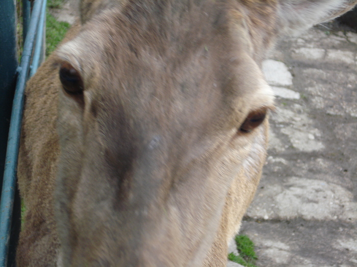 Picture 131
