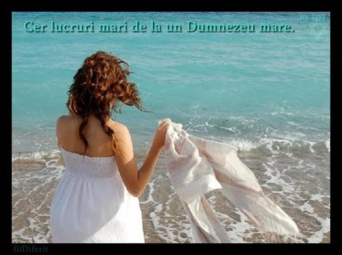 imagini pt site (47)