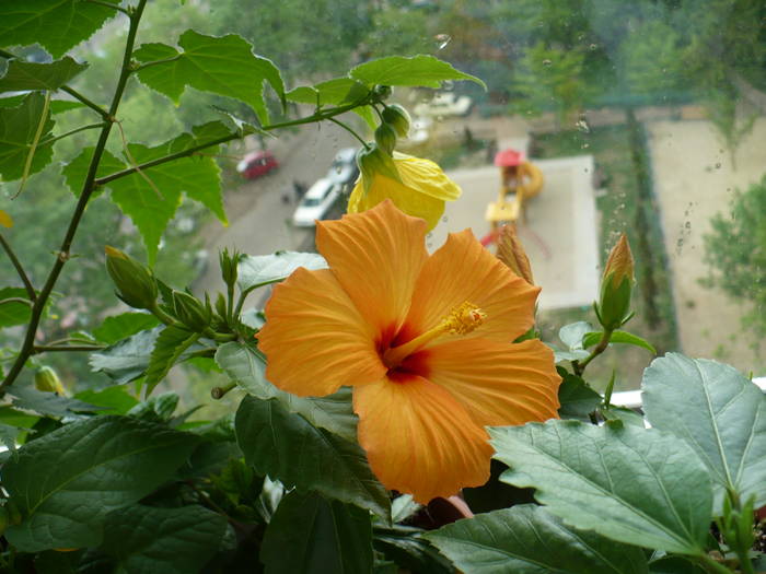 P1110654