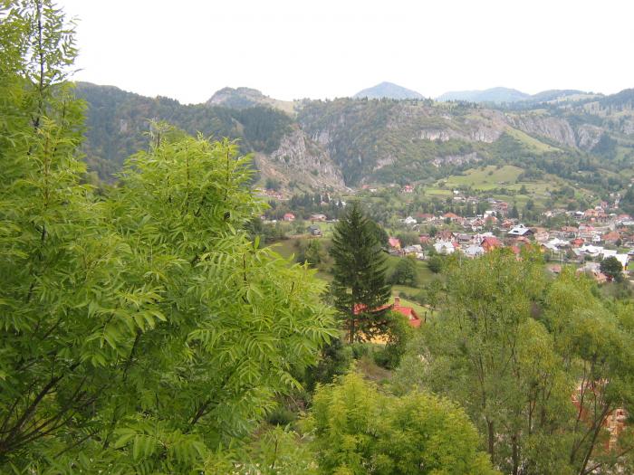 V.cheii sept. 2008 093 - Valea Cheii-Podul Dambovicioarei-Piatra Craiului