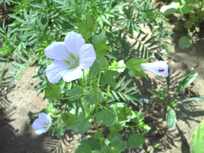 PICT0070