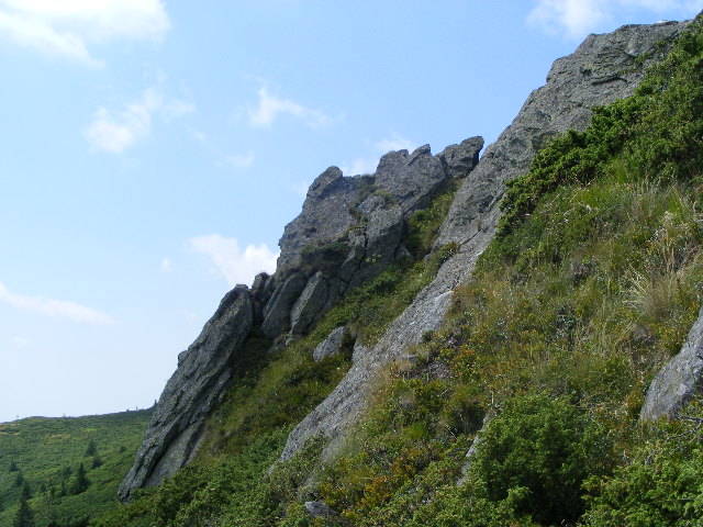 DSCF4259 - 2 august 2009 Traseu Suior Secatura Creasta Cocosului Gutaiul Doamnei  Vf Gutai