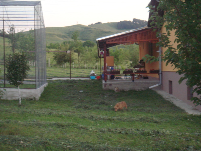 DSC00848