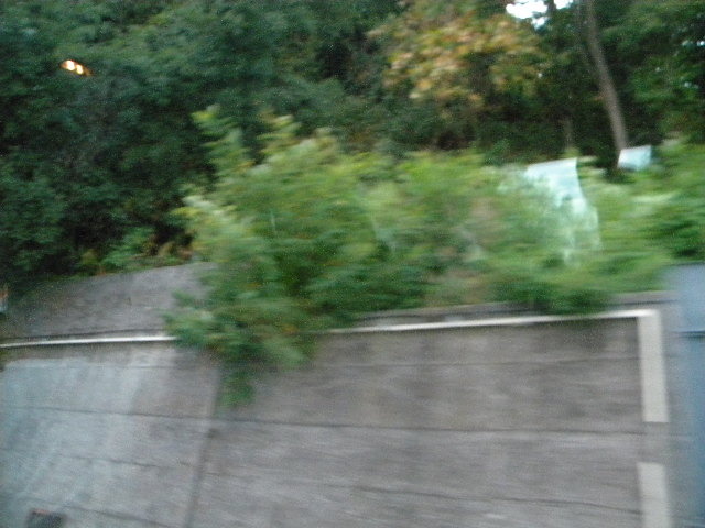 DSCN0528