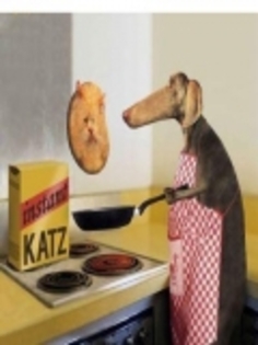 twww_poze-haioase_ro__1196844347_213