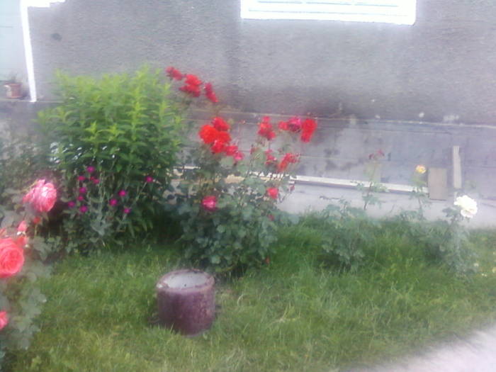 Fotografii-0091