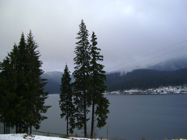 DSC07813 - UN DRUM LA CABANA BOLBOCI