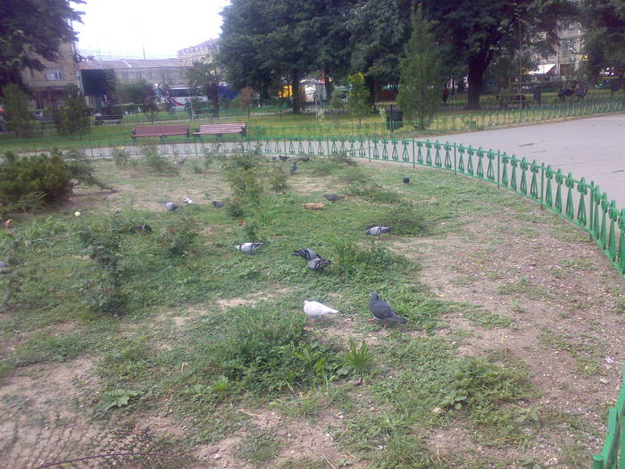 200720092352 - 18c Bucuresti