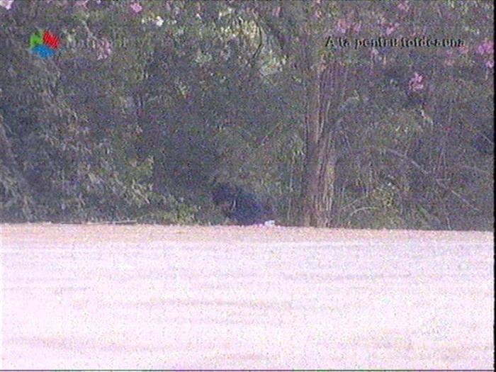 Image1117-0904(nationaltv)[1]
