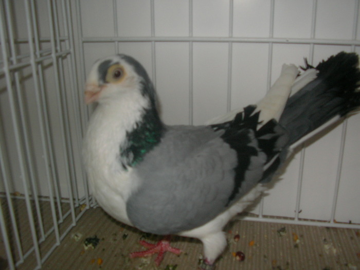 SANY0119