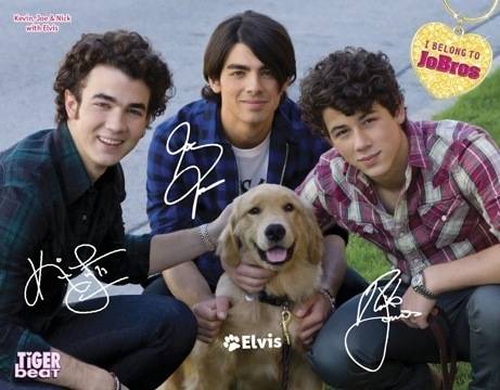 jonaspostermarch - Camp Rock