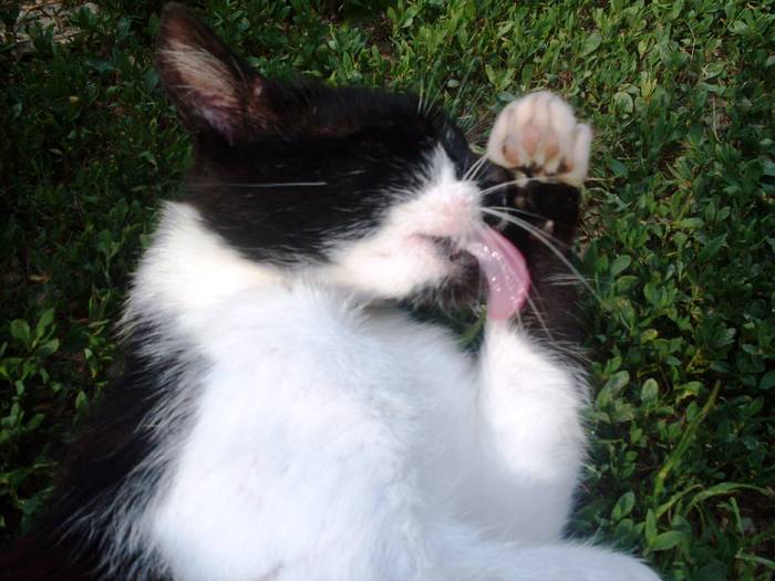 SDC10662 - Poze facute de mine