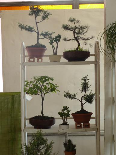 P1010394 - Pitesti 19 aprilie 2008 - II