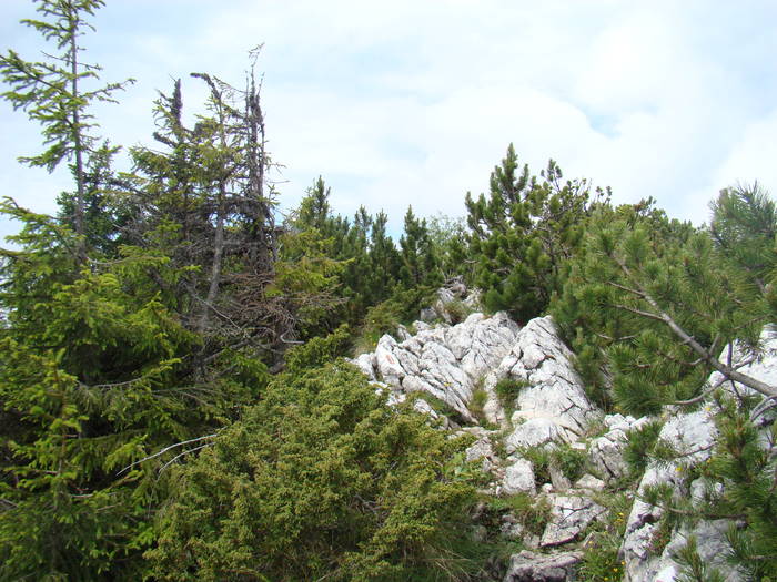 DSC03776 - Concediu 2009