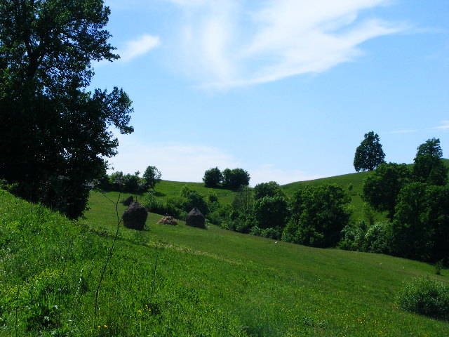 DSCF0610