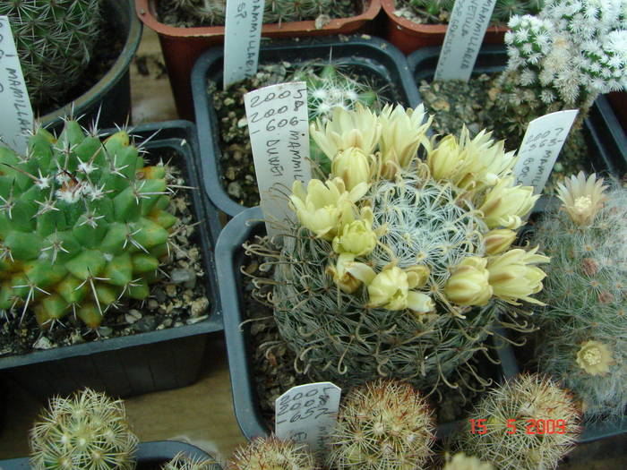 DSC05713