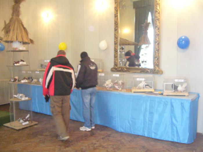 Picture 178 - Expozitia Columbofilia Traditie Si Pasiune din DOROHOI tinuta in perioada 15-20 februarie 2009