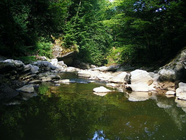 DSCF5196